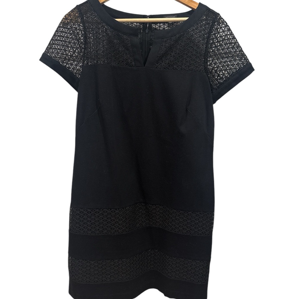Elegant Black Lace Dress